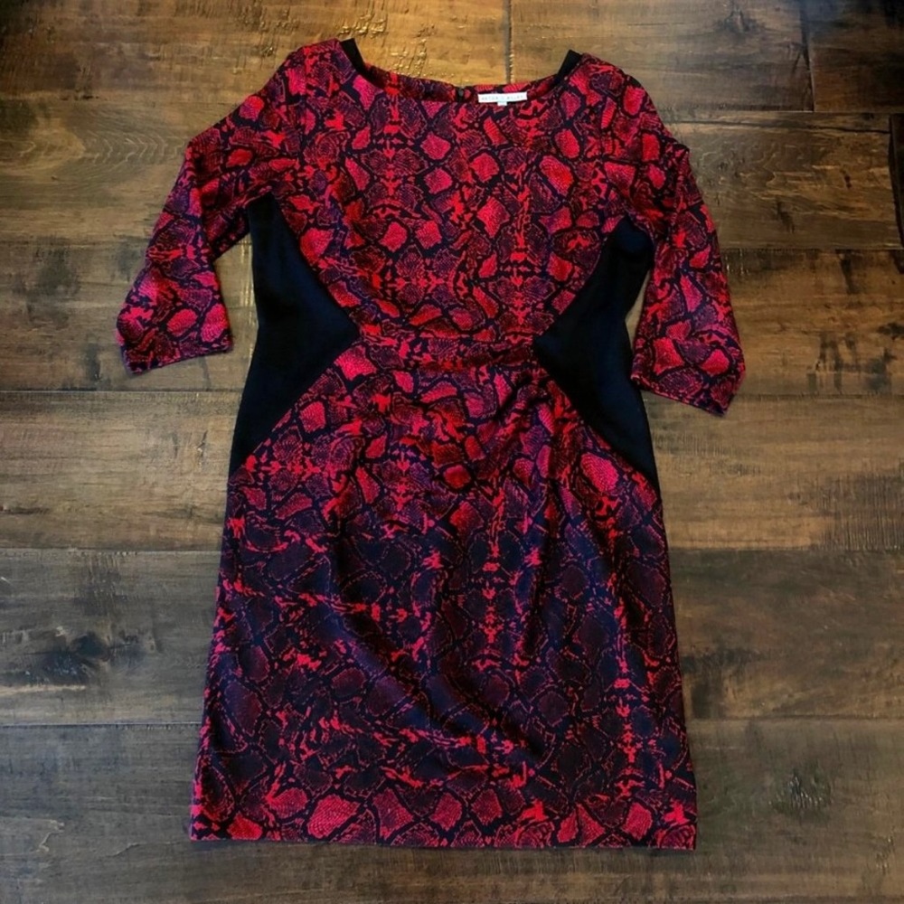 Antonio Melani Size 14 Dress Red Black Snakeskin Print Knee Length 3/4 Sleeve